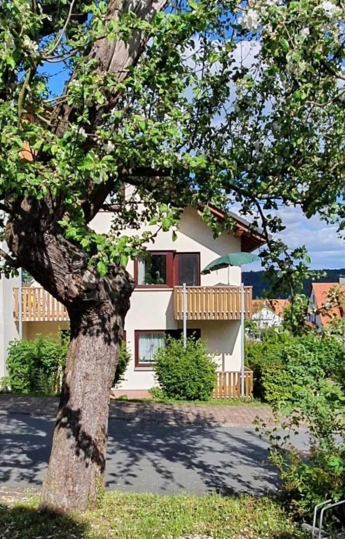 Kleinod Am Kurpark Apartment Bad Zwesten Exterior foto